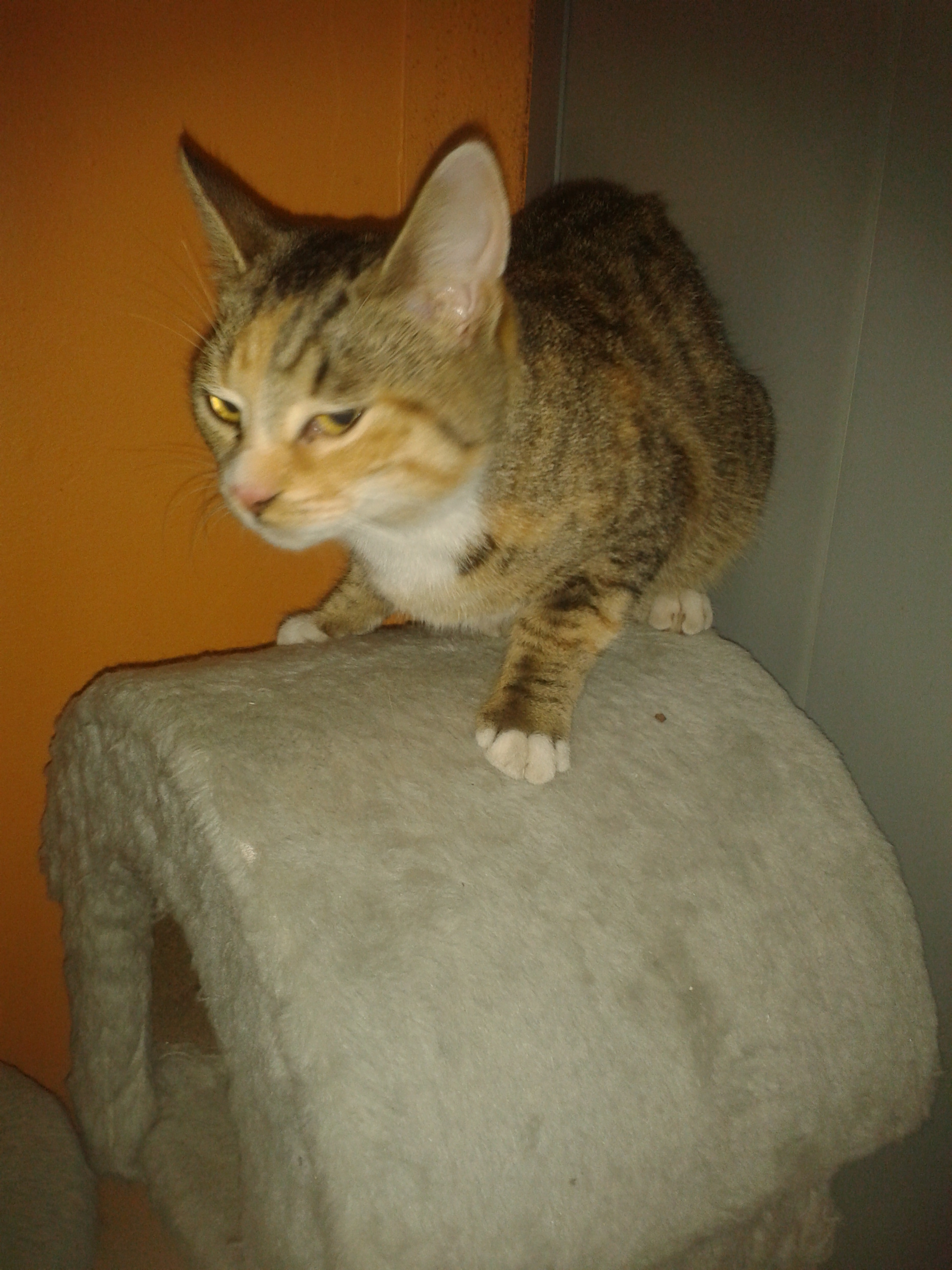 Luna
